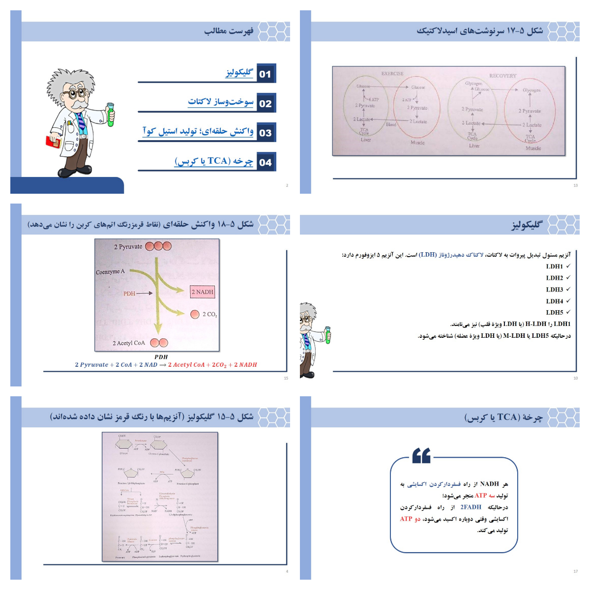 دانلود پاورپوینت بیوشیمی