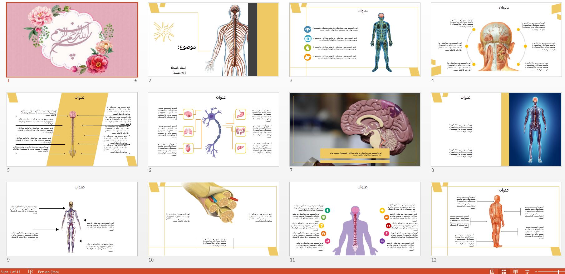 دانلود جدیدترین و زیباترین قالب پاورپوینت حرفه ای سیستم عصبی انسان